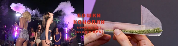 гашик Вяземский